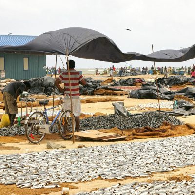 negombo-fish-market-2
