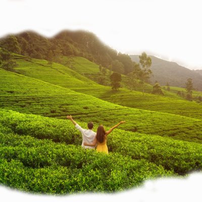 Above tea plantations among mountains with a romantic carefree couple of travelers with raised hands. Young man and woman standing against epic landscape during travel around Sri Lanka